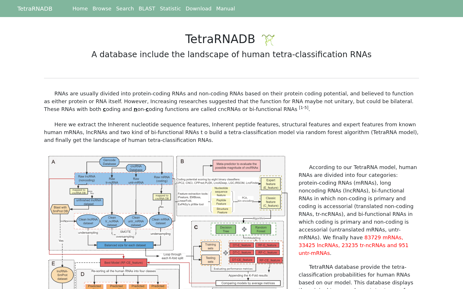 TetraRNADB 数据集图片