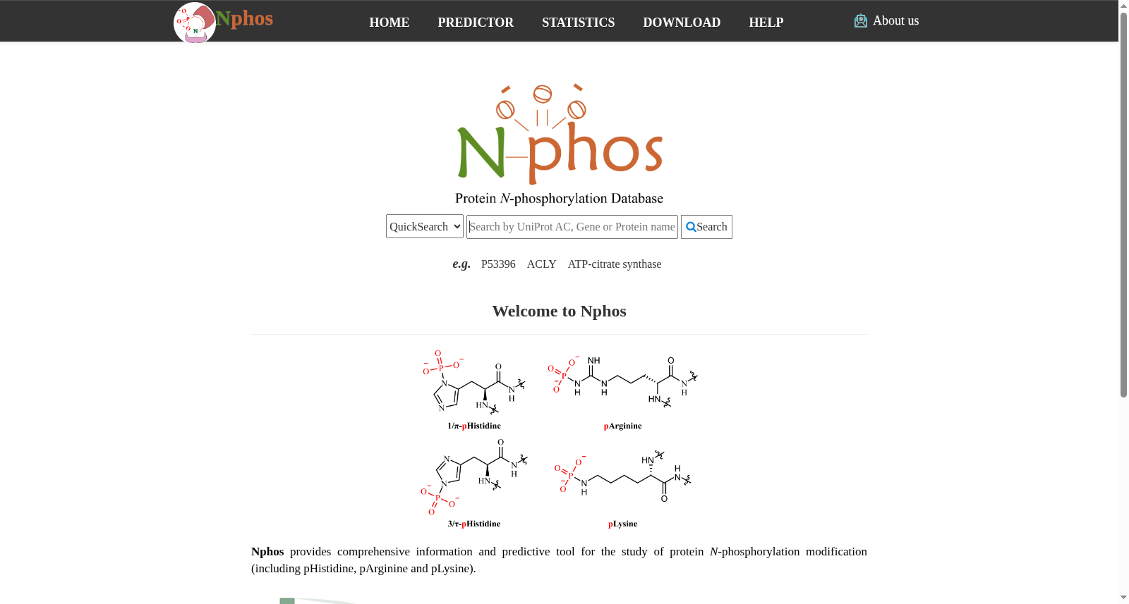 Nphos 数据集图片