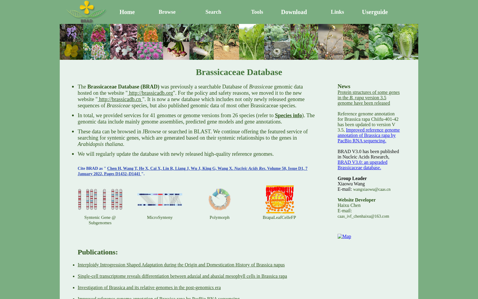 main_image_url