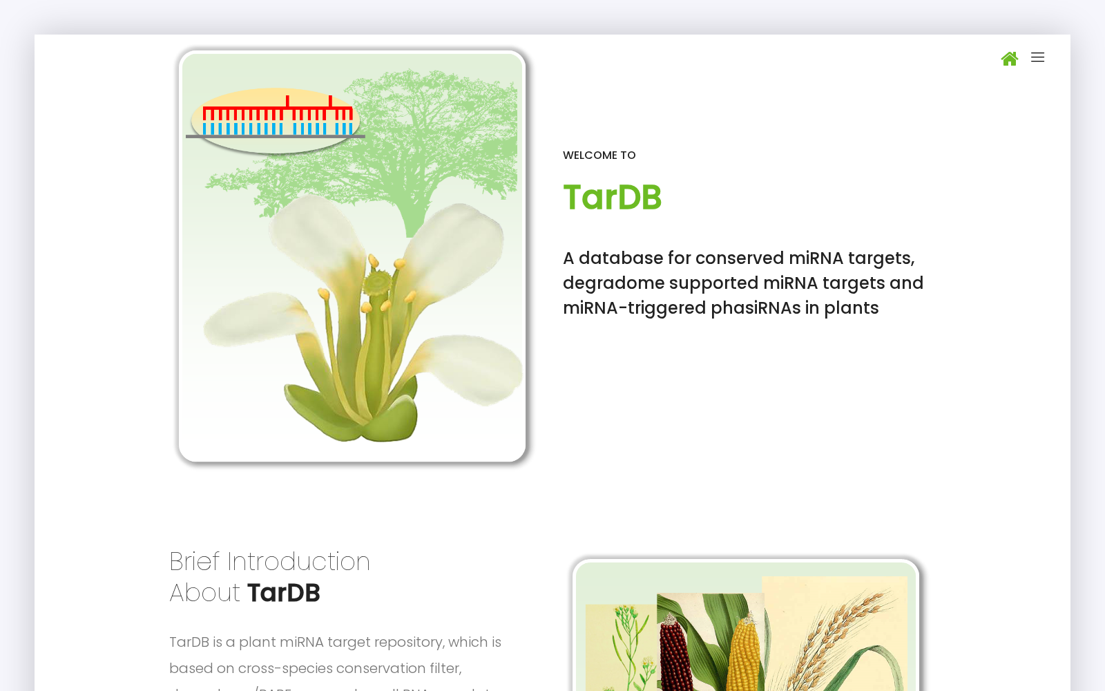 TarDB 数据集图片