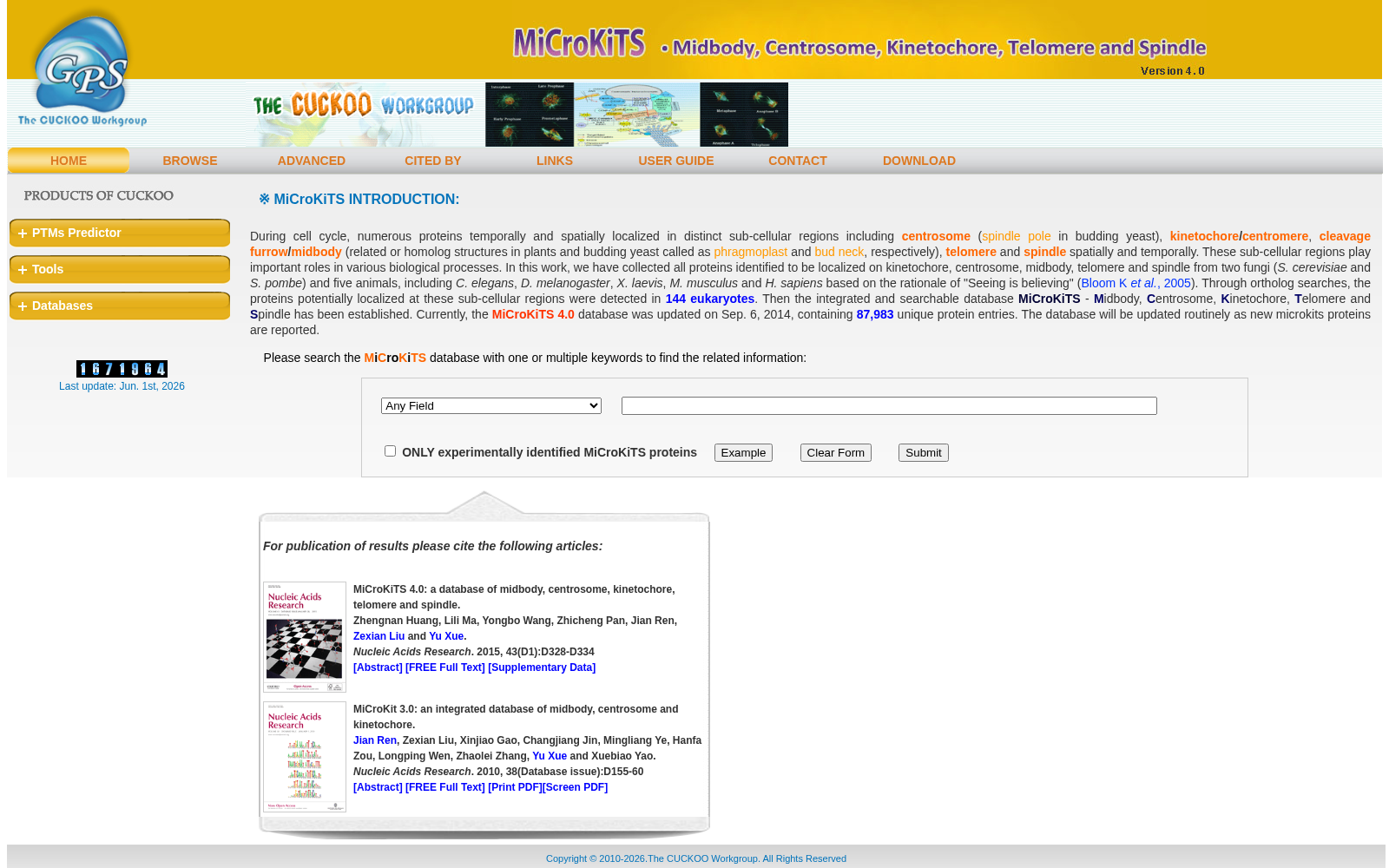 MiCroKiTS 数据集图片