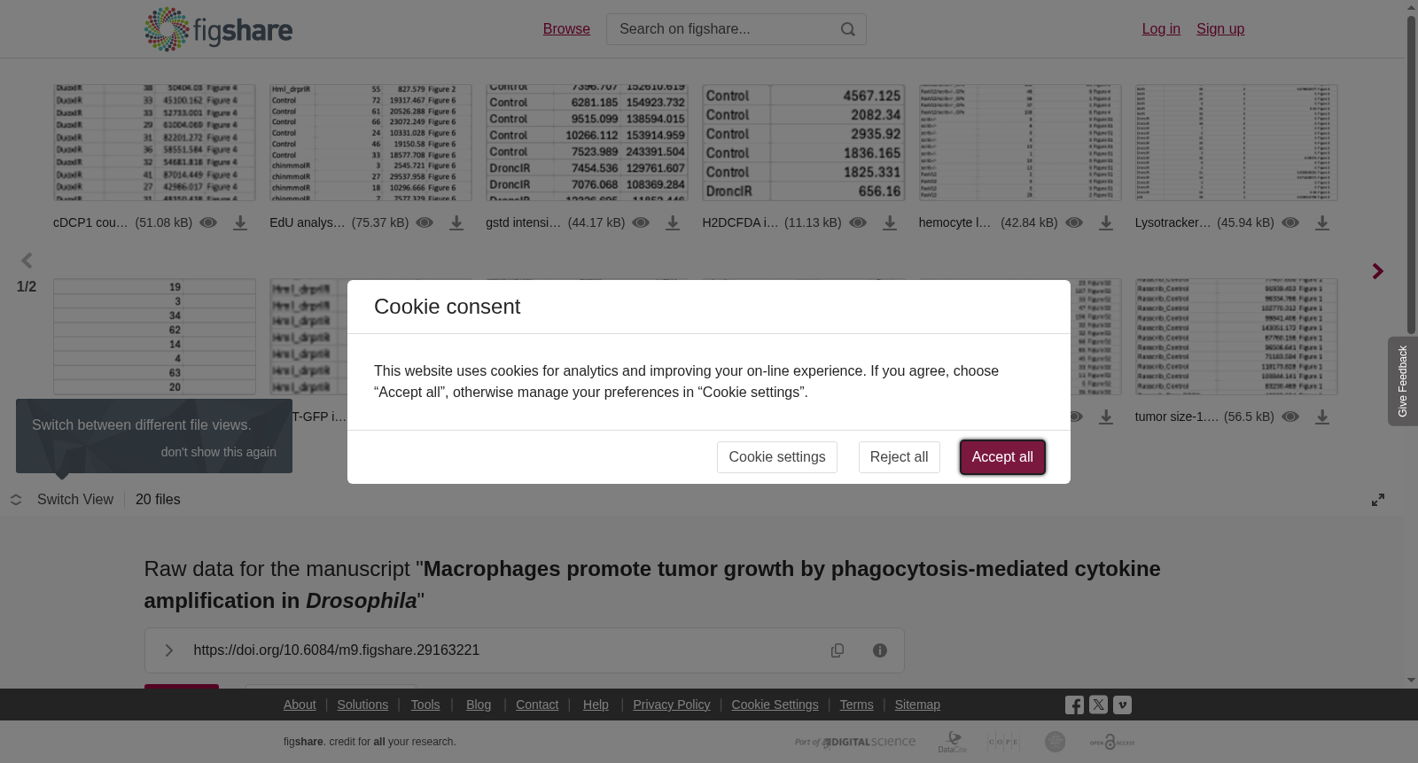 main_image_url