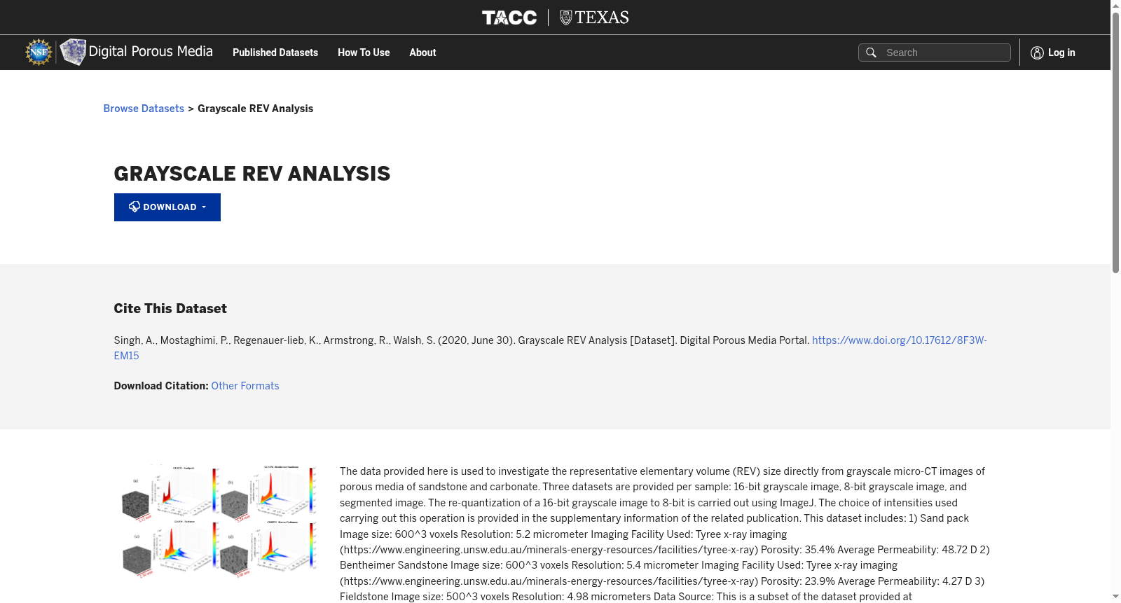 Grayscale REV Analysis 数据集图片