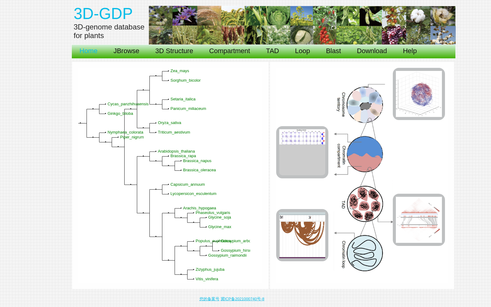 3D-GDP 数据集图片