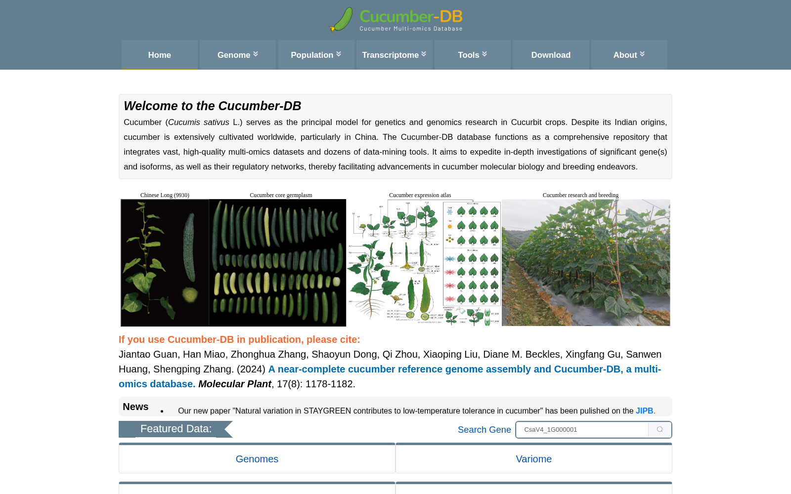 Cucumber-DB 数据集图片