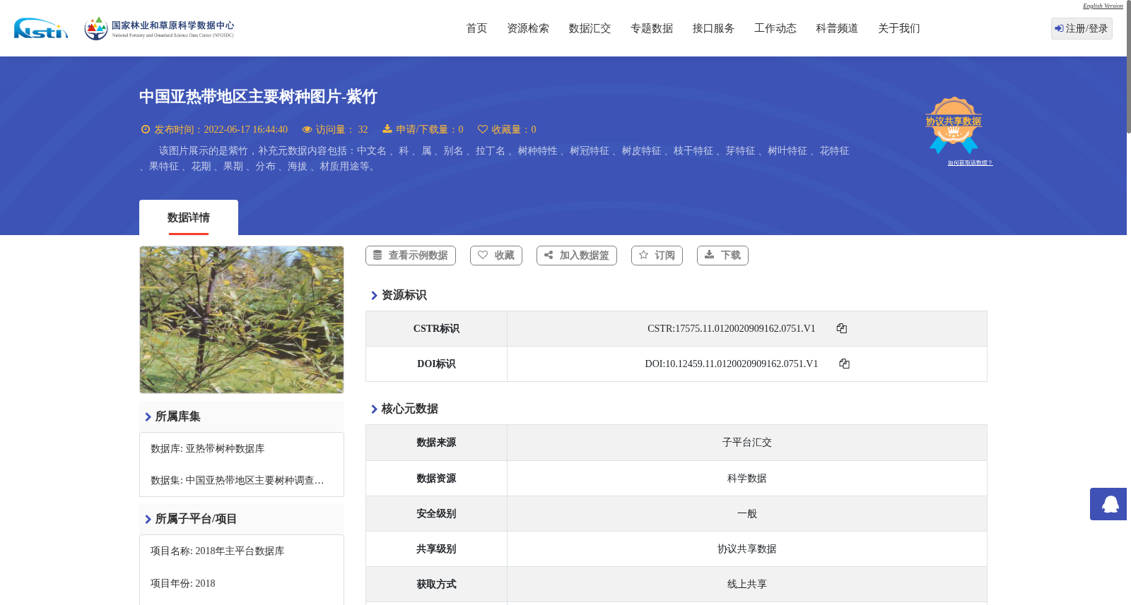 中国亚热带地区主要树种图片-紫竹 数据集图片