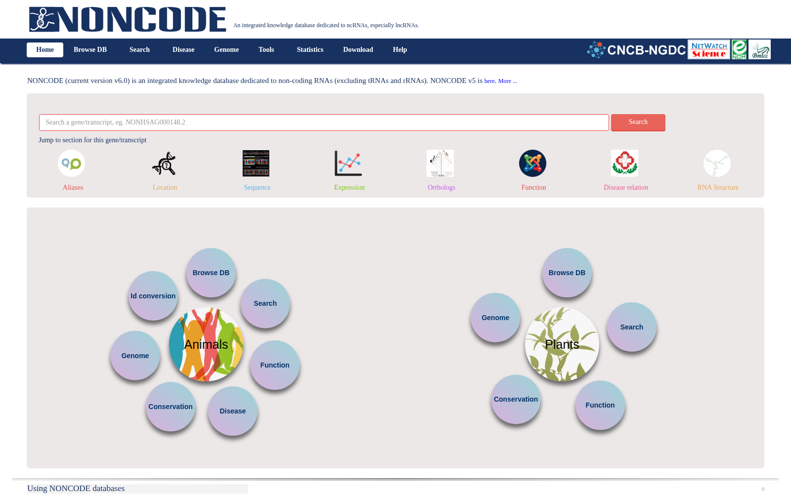 NONCODE 数据集图片