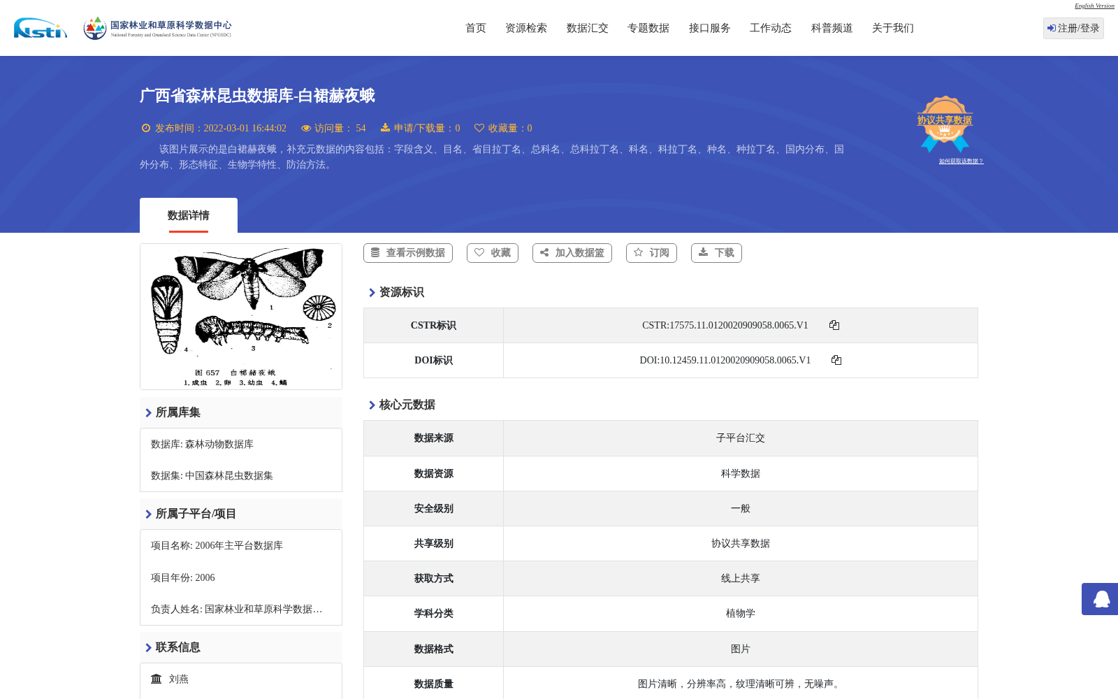 main_image_url