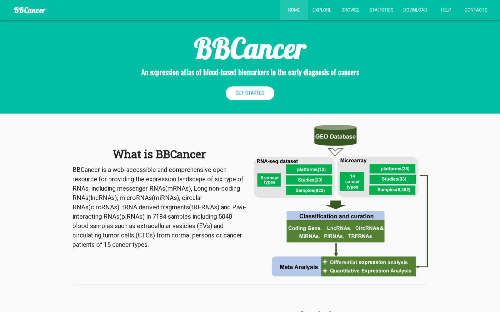 BBCancer 数据集图片