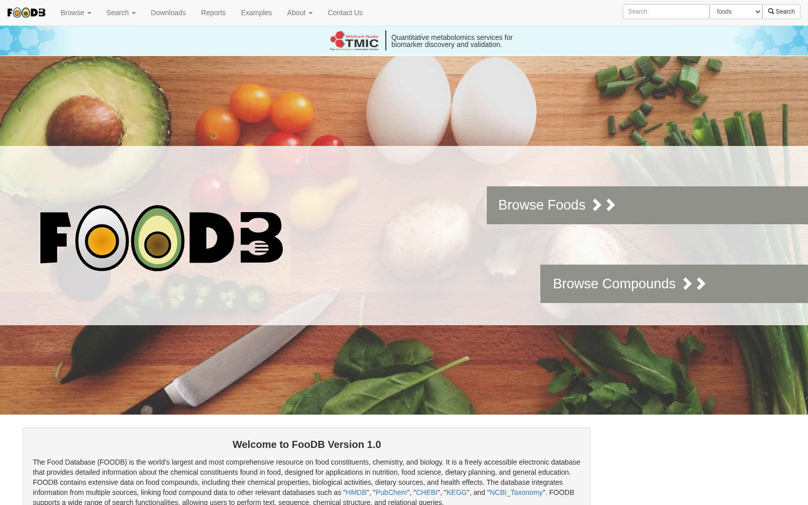 FooDB 数据集图片