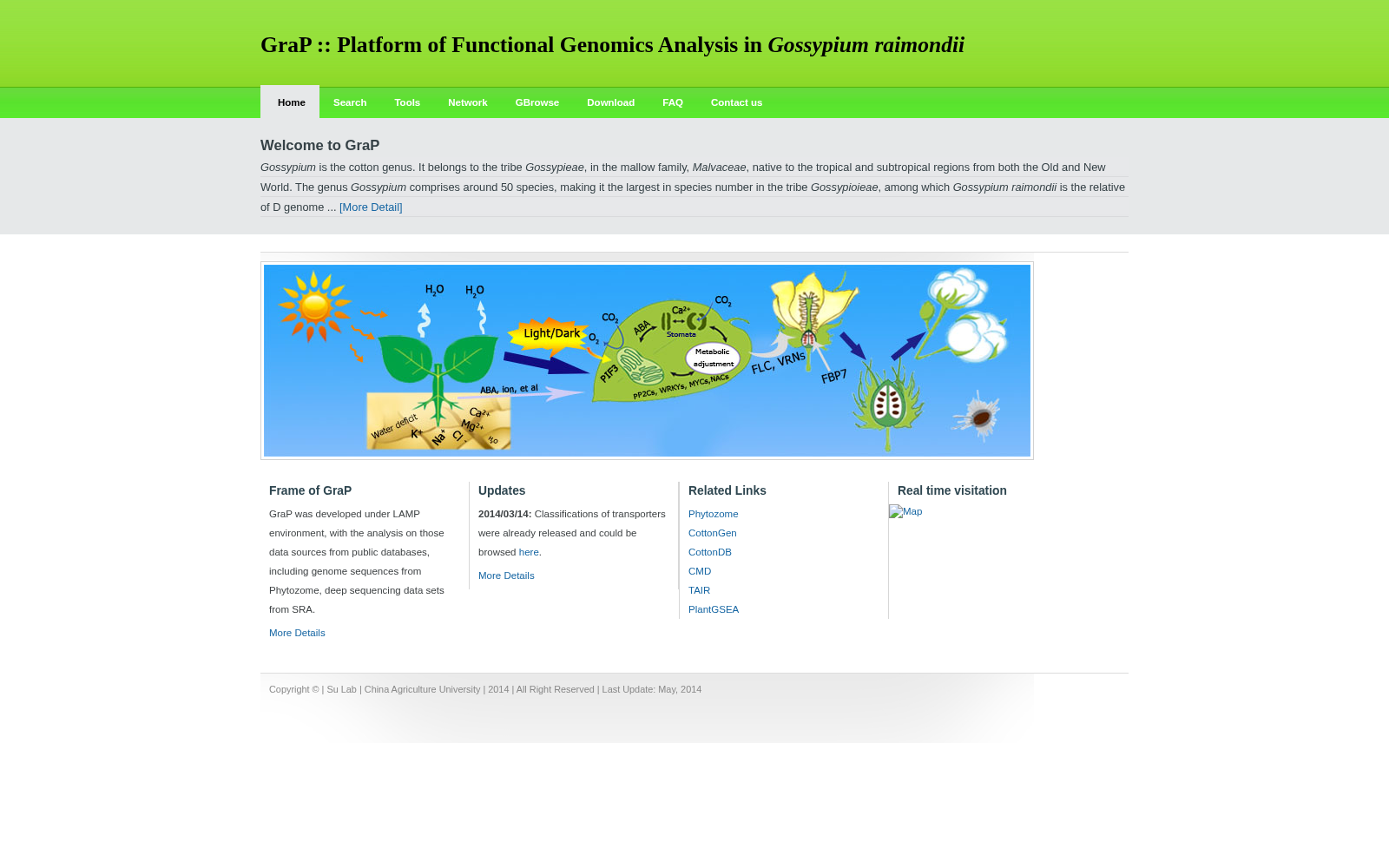 main_image_url