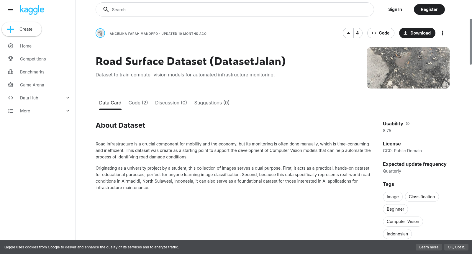 Road Surface Dataset (DatasetJalan) 数据集图片