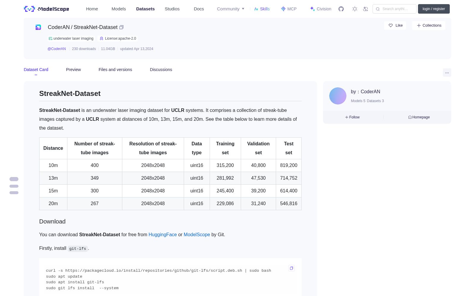 StreakNet-Dataset 数据集图片