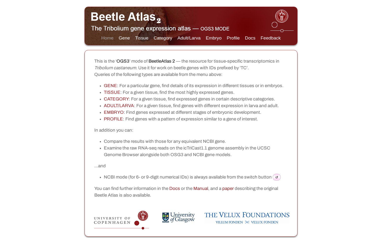 BeetleAtlas 数据集图片