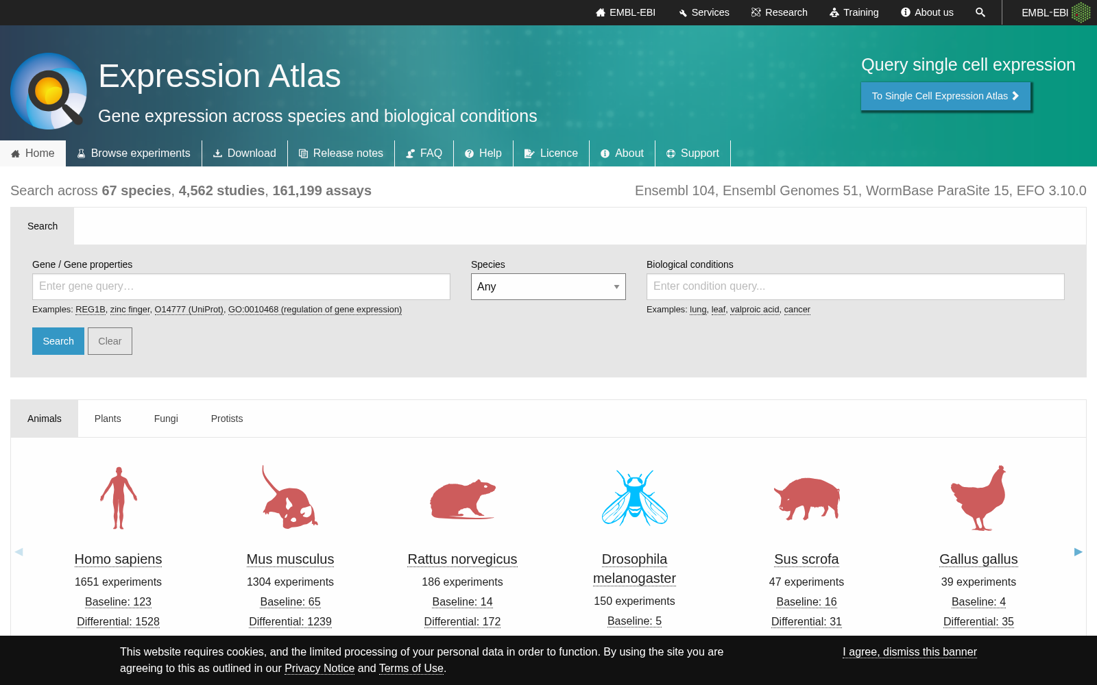 Expression Atlas 数据集图片