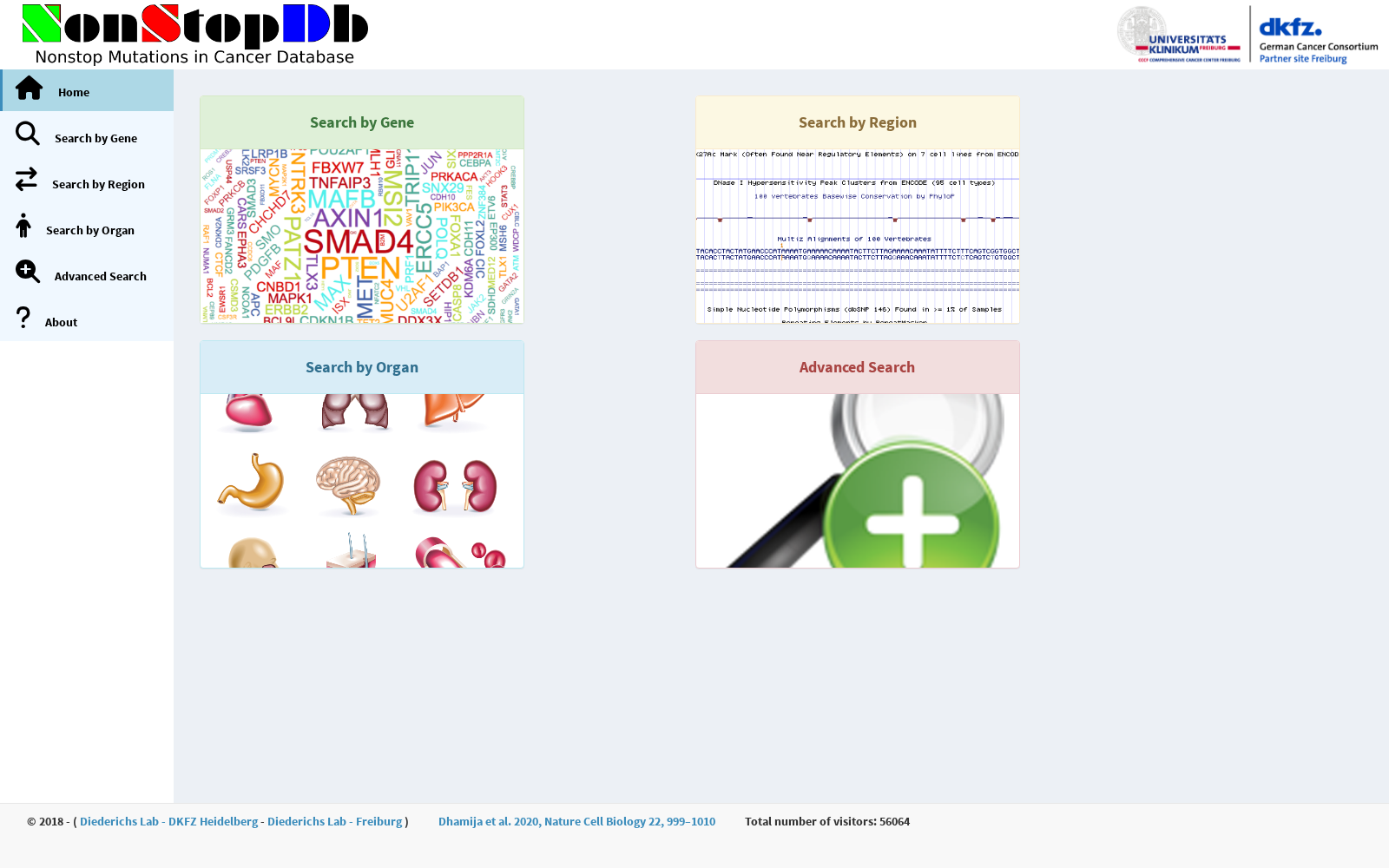 NonStopDb 数据集图片
