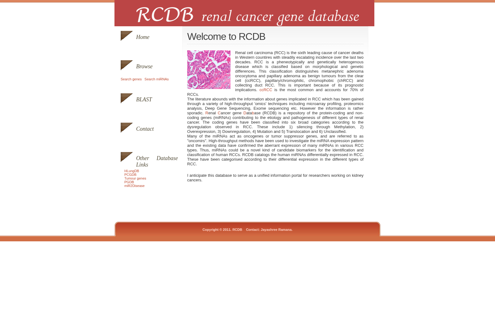 RCDB 数据集图片