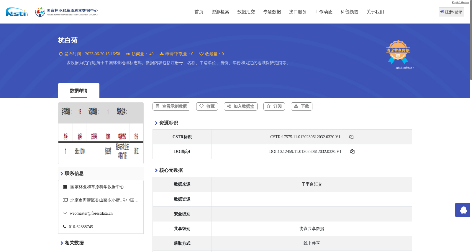 杭白菊 数据集图片