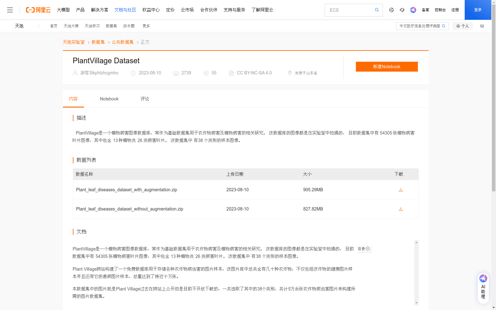 main_image_url