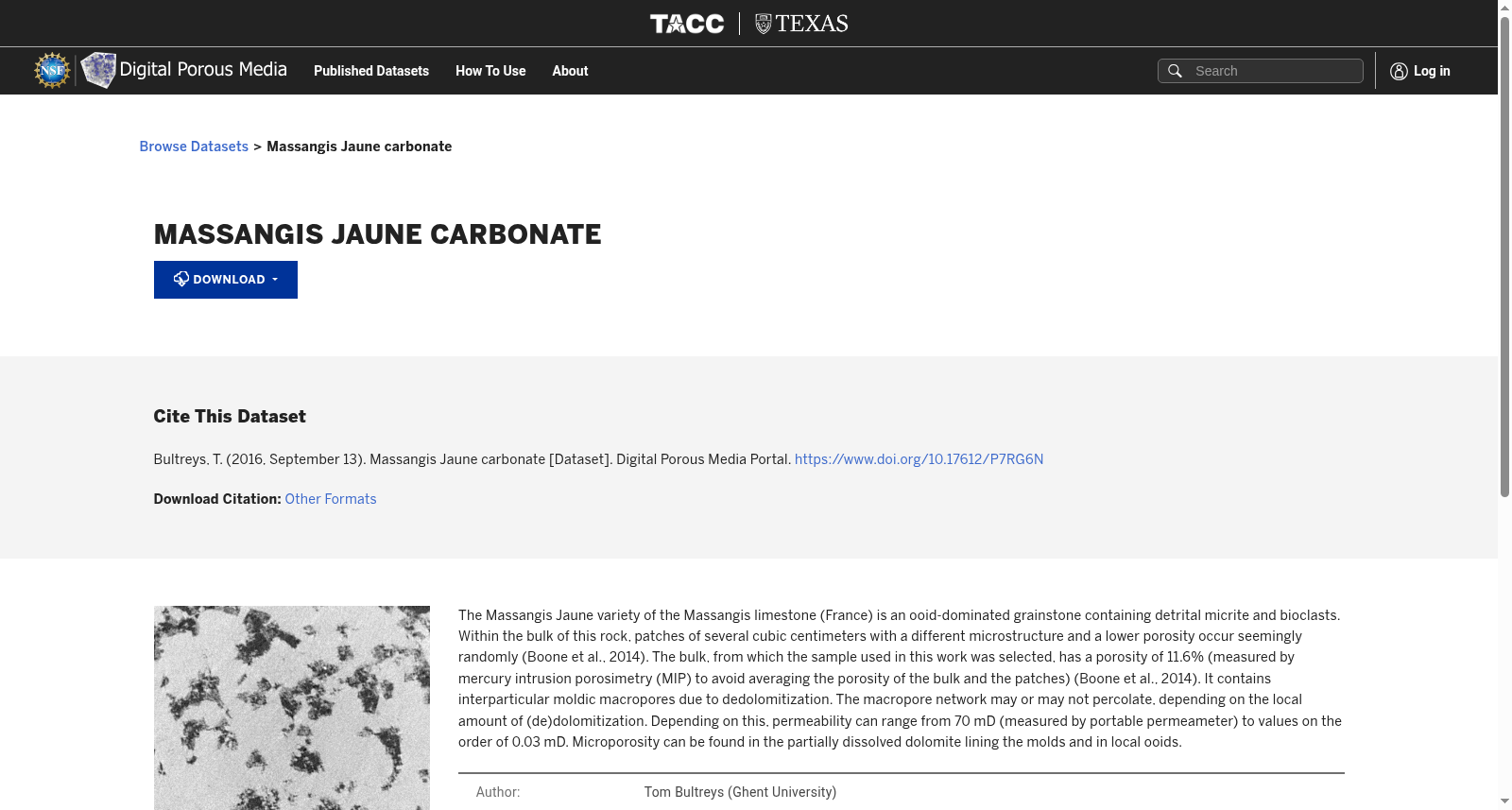 Massangis Jaune carbonate 数据集图片