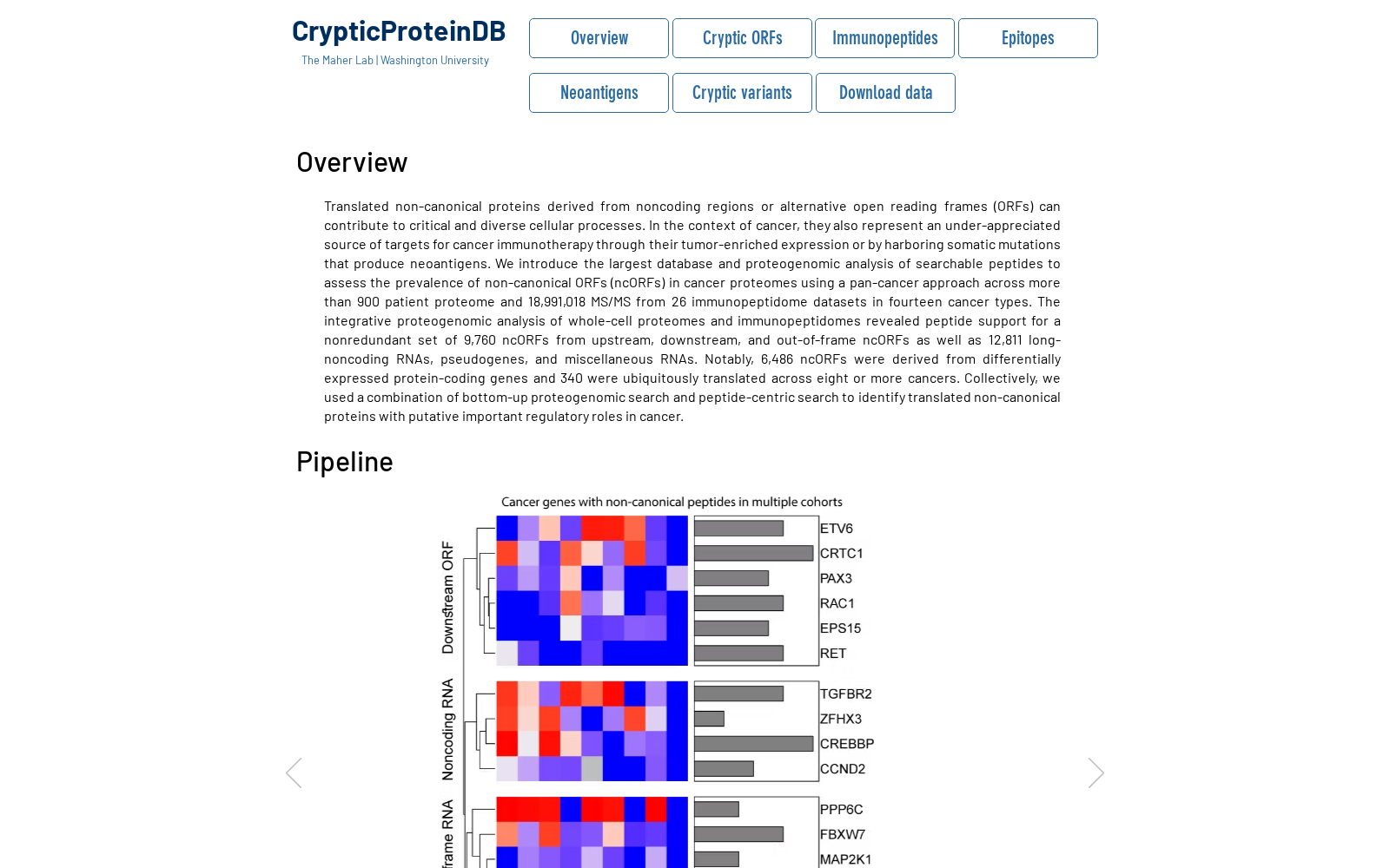 CrypticProteinDB 数据集图片
