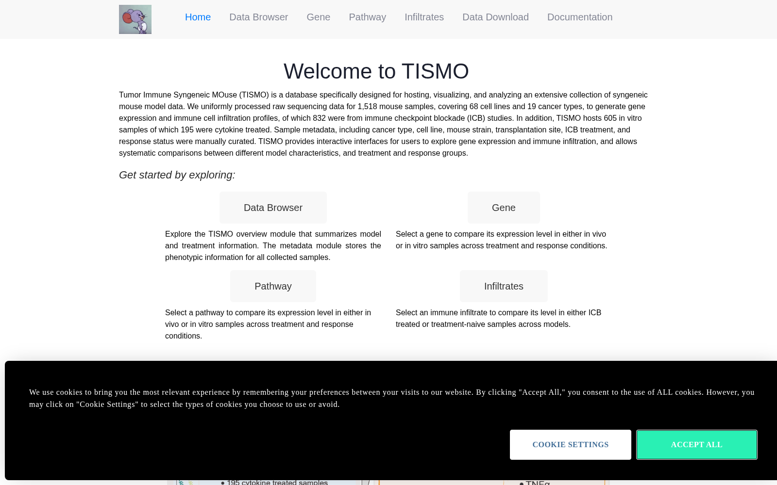 TISMO 数据集图片