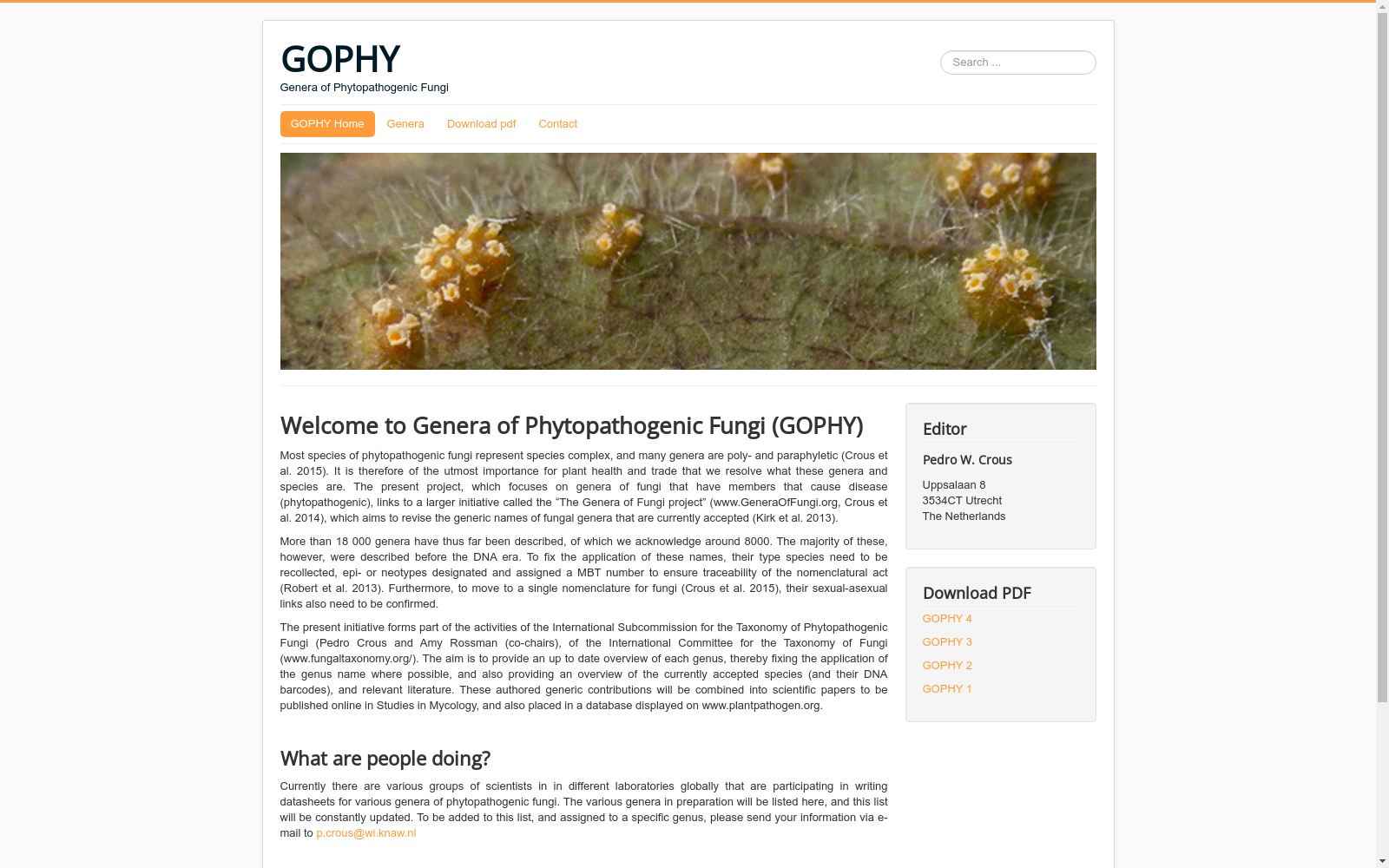 main_image_url