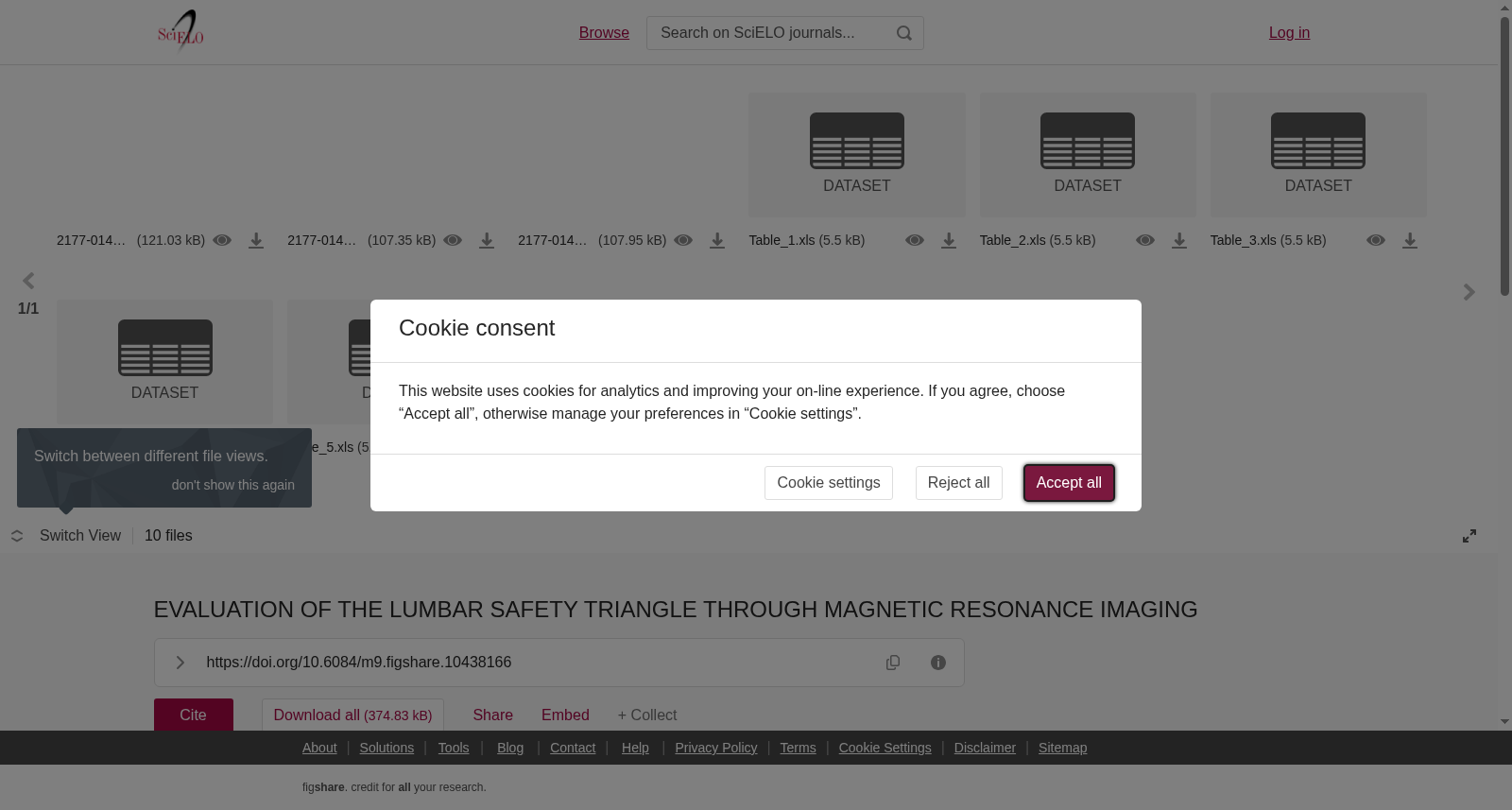 EVALUATION OF THE LUMBAR SAFETY TRIANGLE THROUGH MAGNETIC RESONANCE IMAGING 数据集图片