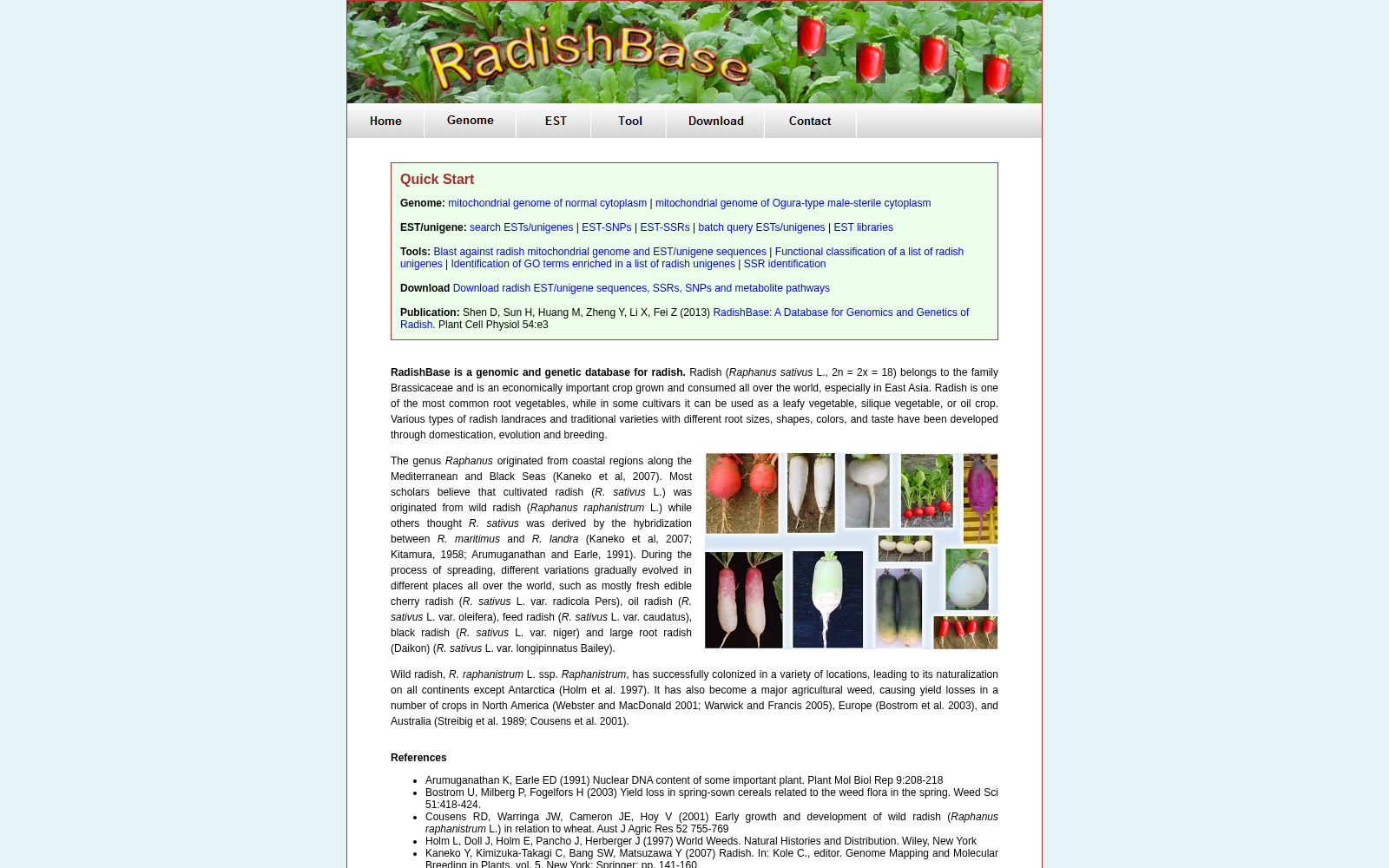 RadishBase 数据集图片