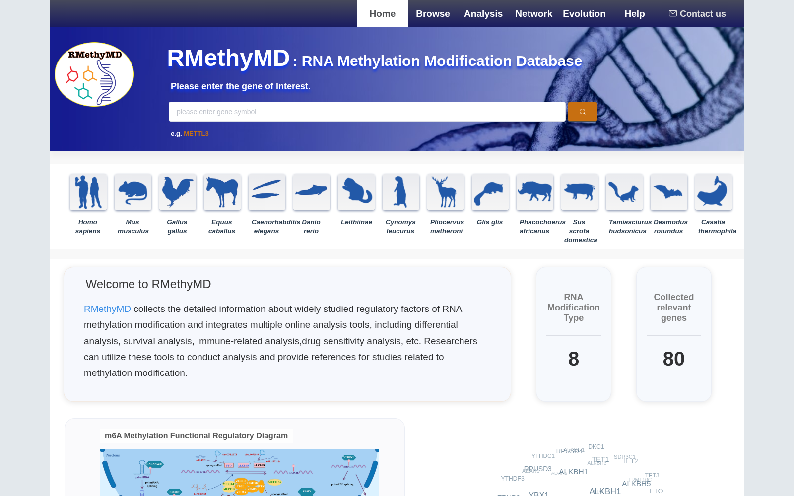 RMethyMD 数据集图片