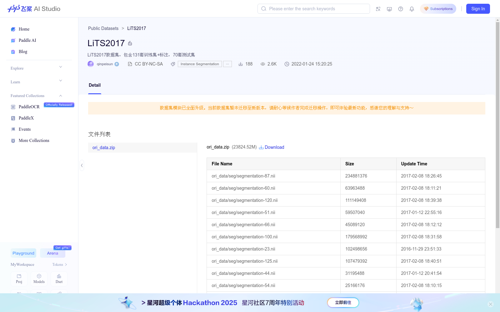 LiTS2017 数据集图片