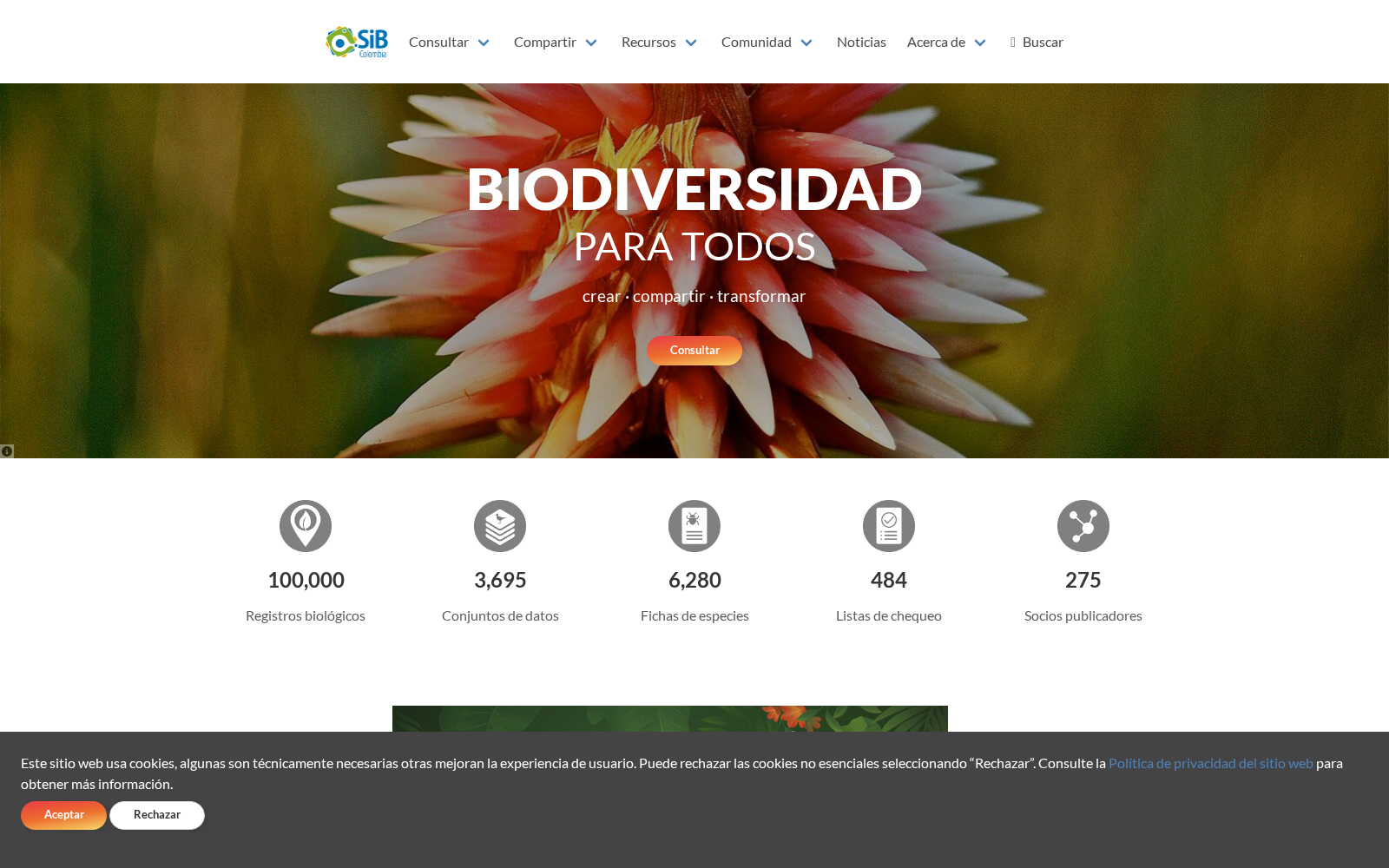 Colombian Geometridae database 数据集图片