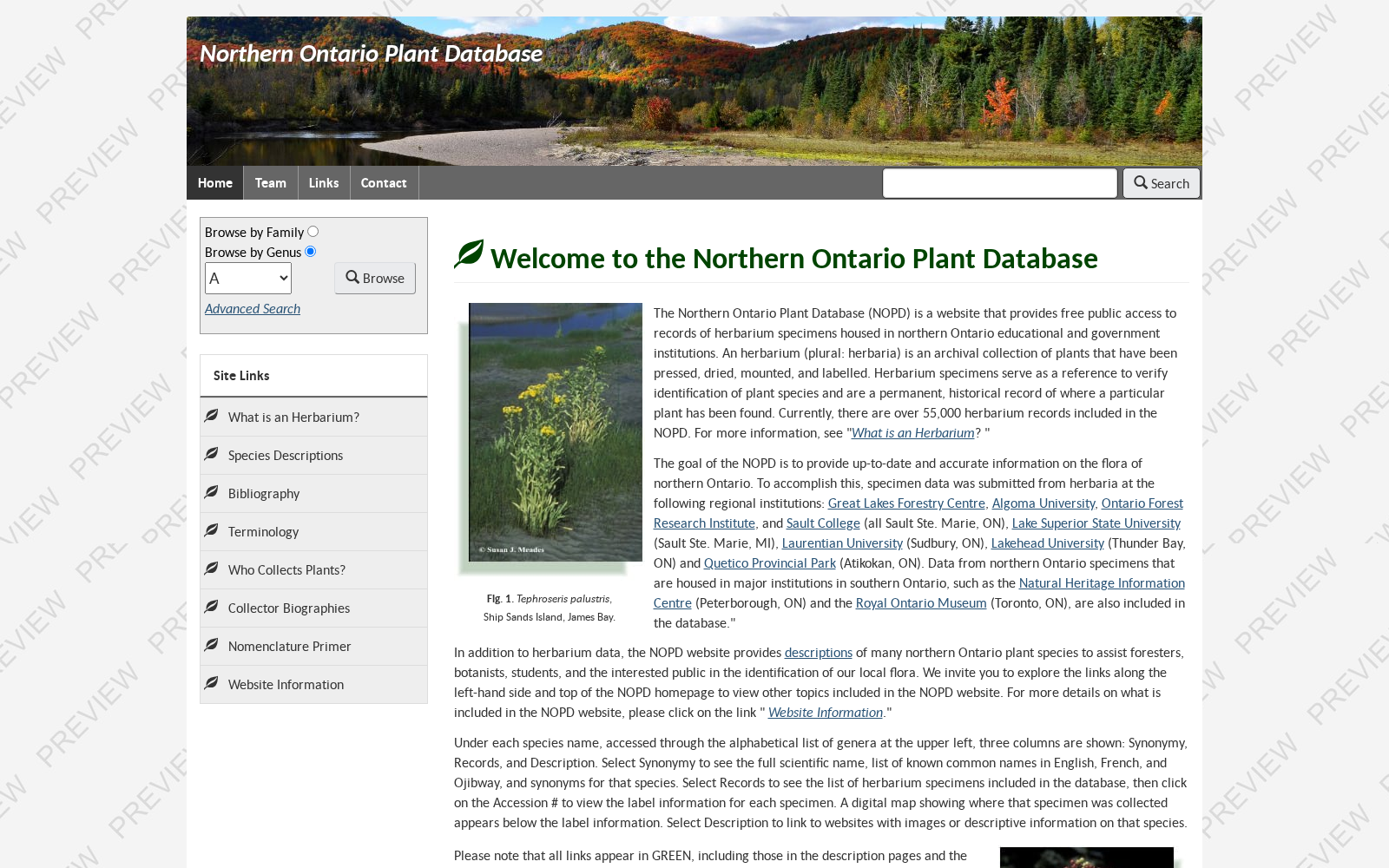 Northern Ontario Plant Database 数据集图片