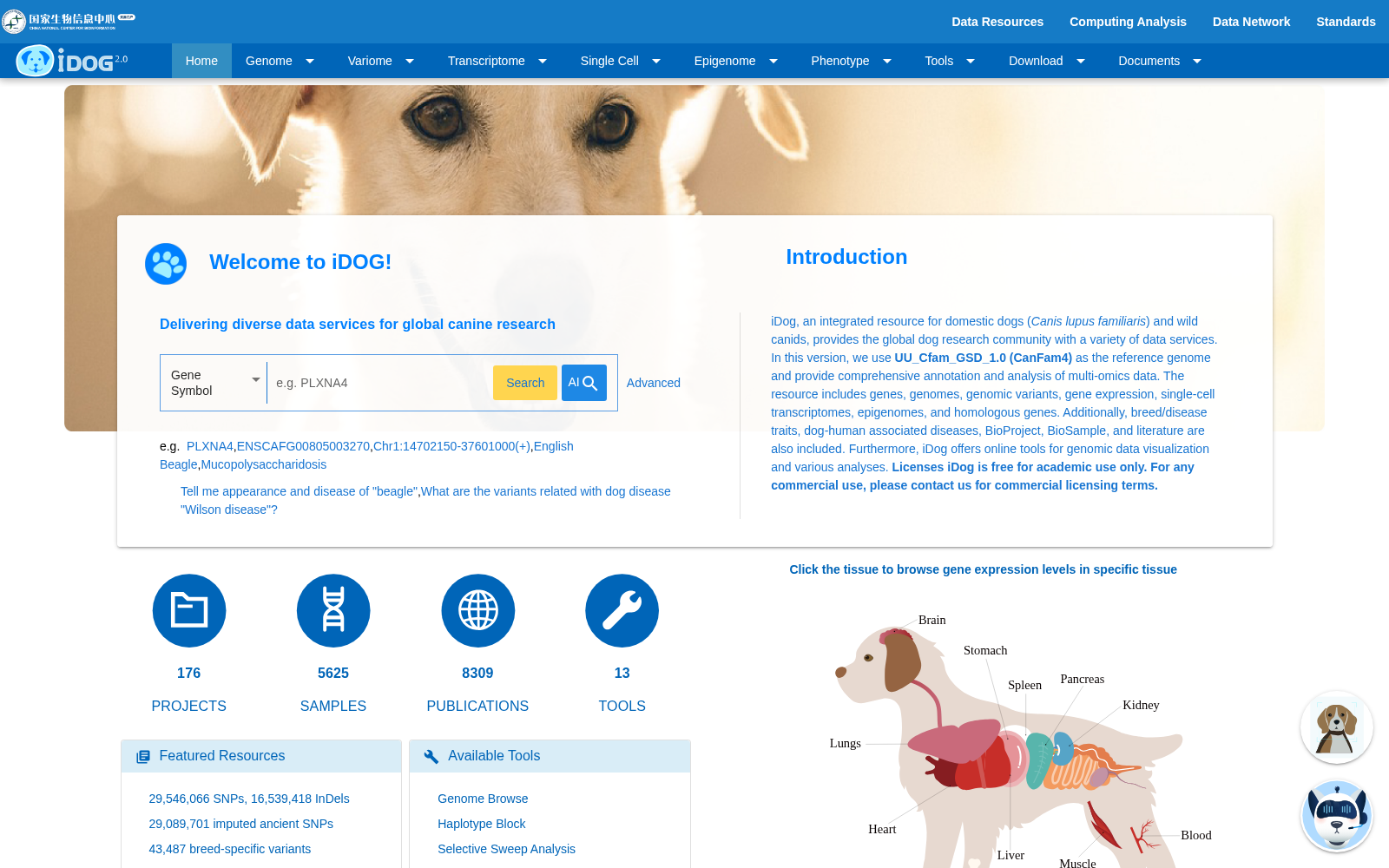 iDog 数据集图片