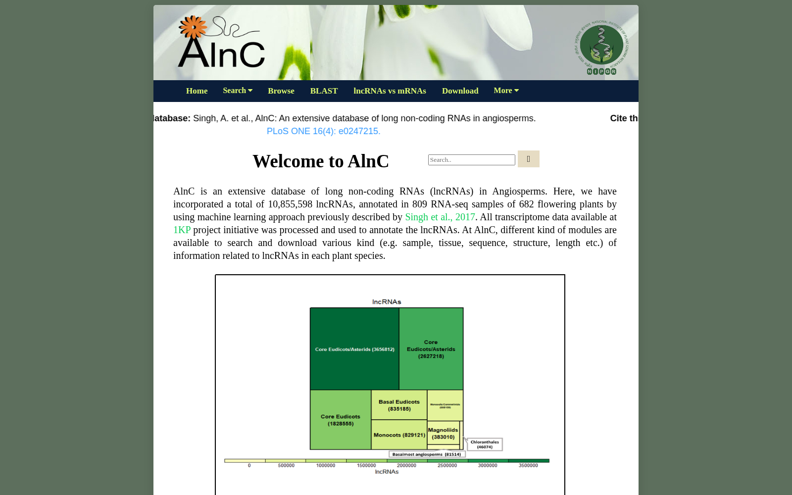AlnC 数据集图片