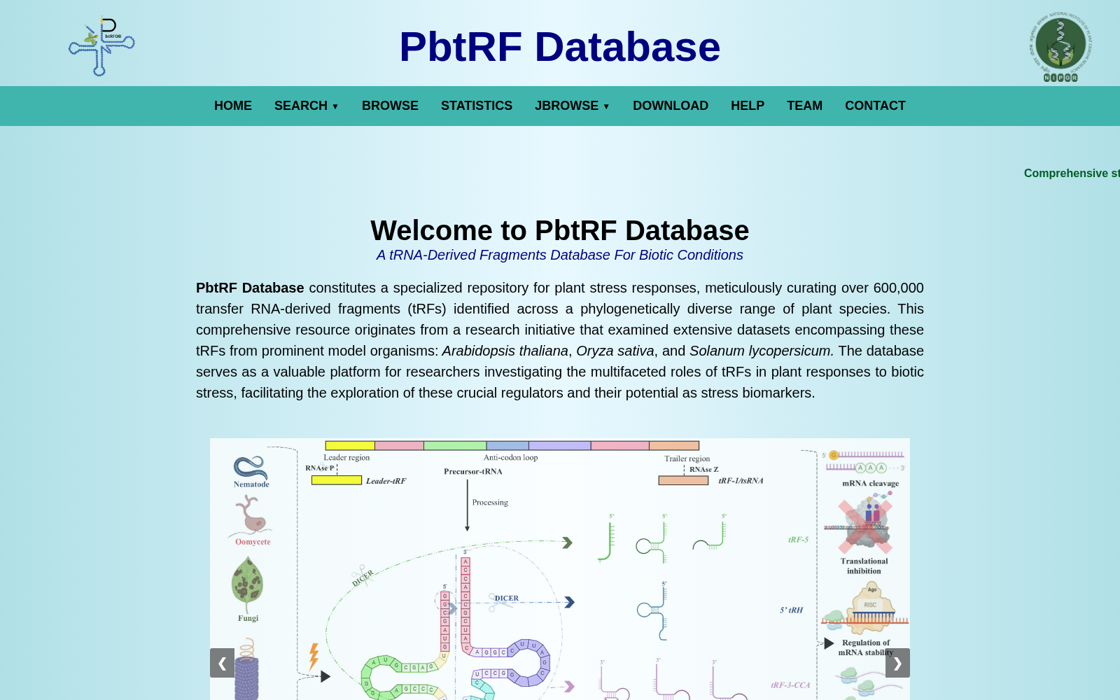 PbtRF 数据集图片