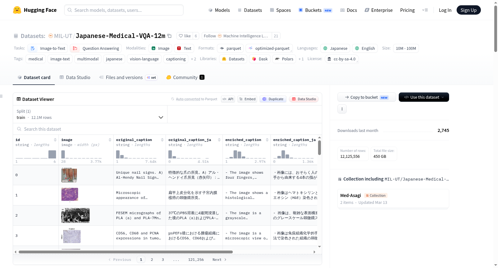 IndoRad-VQA 数据集图片