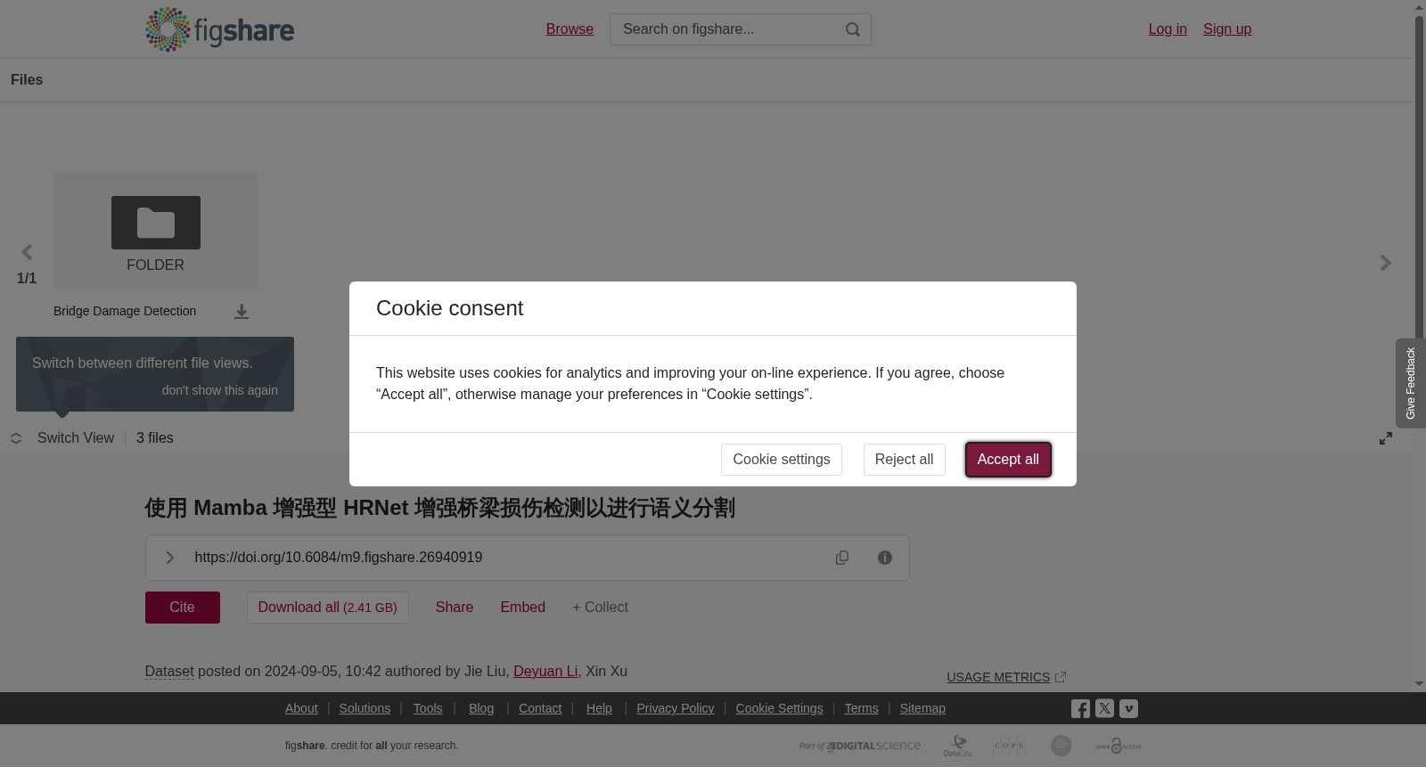 <b>使用 Mamba 增强型 HRNet 增强桥梁损伤检测以进行语义分割</b> 数据集图片