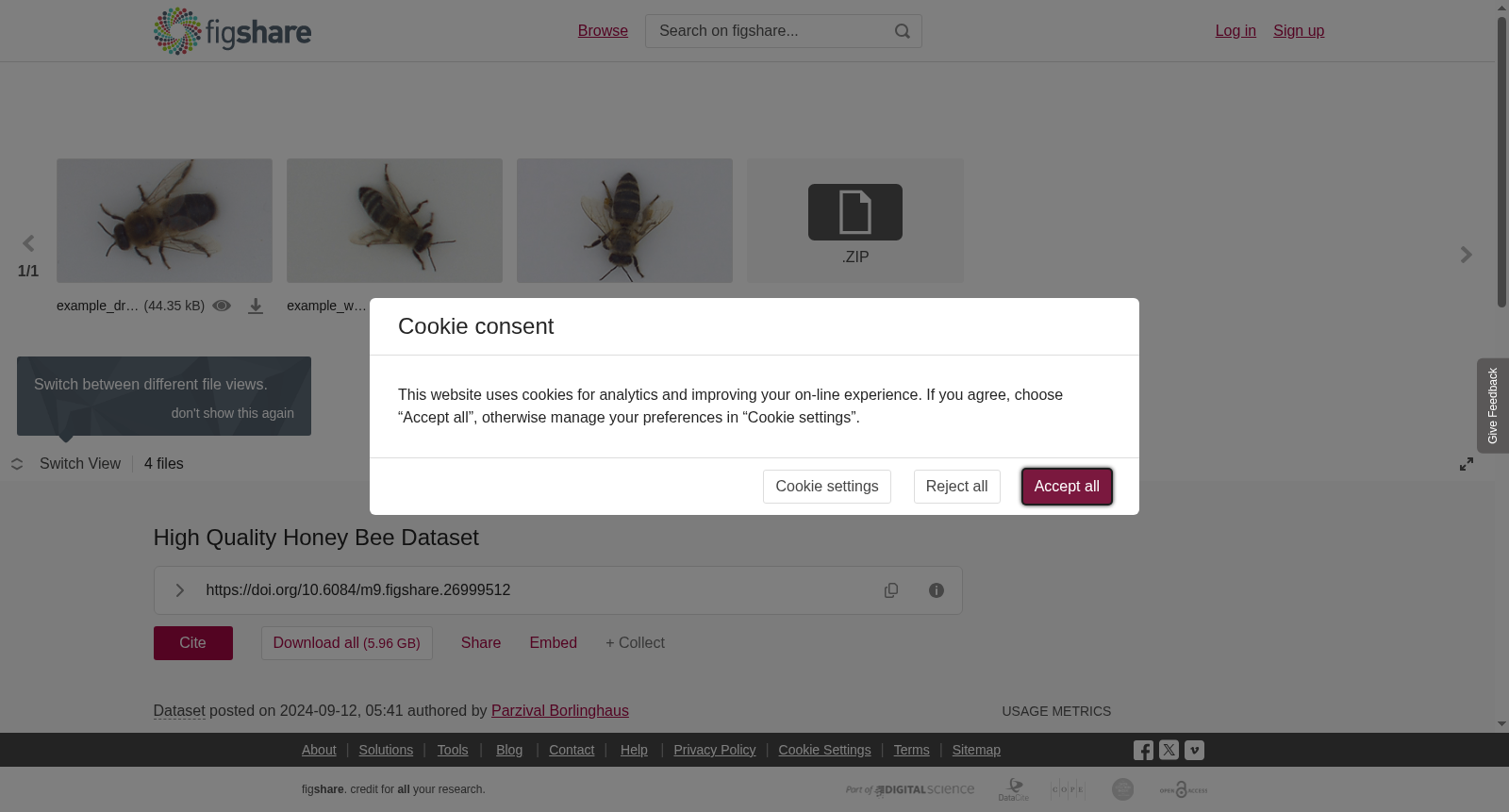 High Quality Honey Bee Dataset 数据集图片
