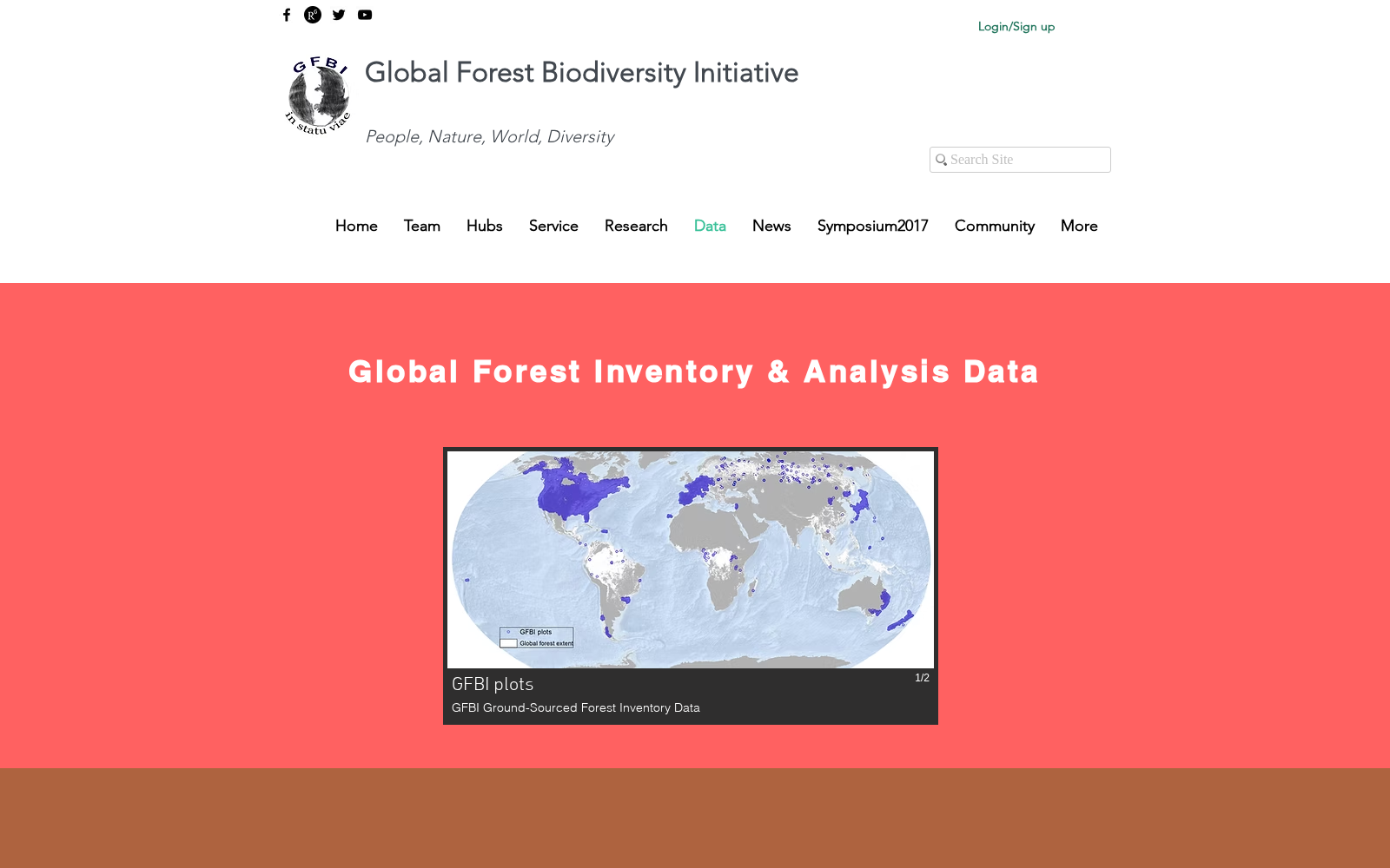 GFBI Database 数据集图片