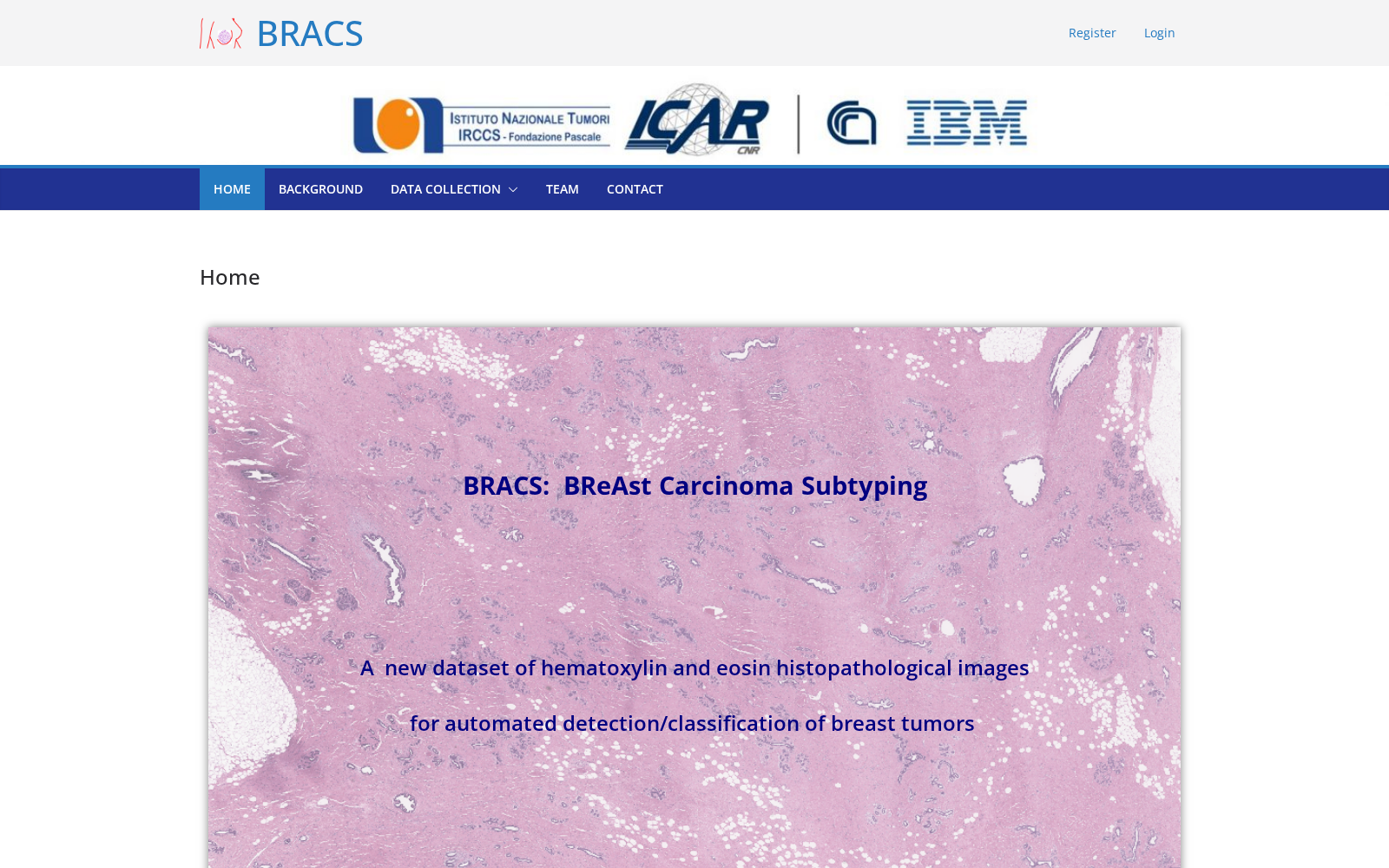 BRACS 数据集图片