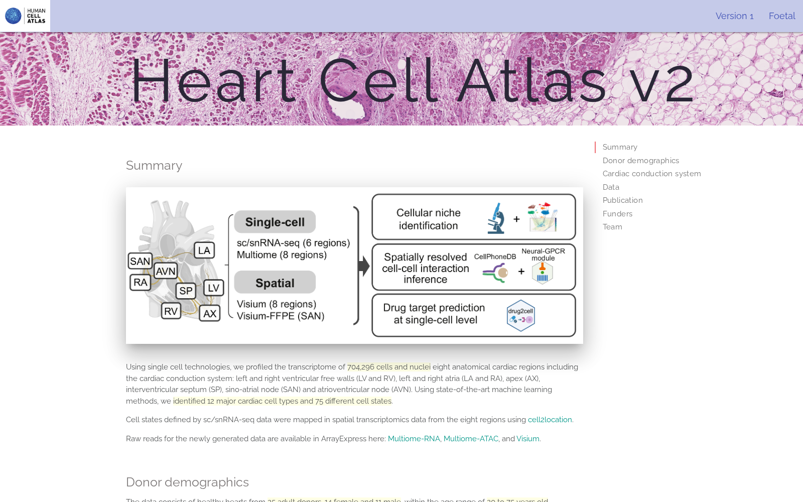 Heart Cell Atlas 数据集图片