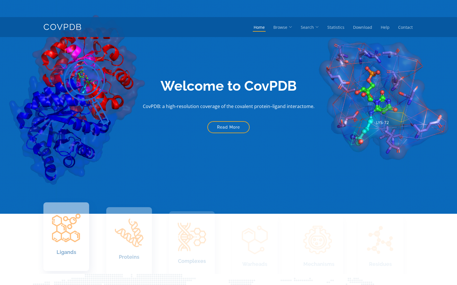 CovPDB 数据集图片