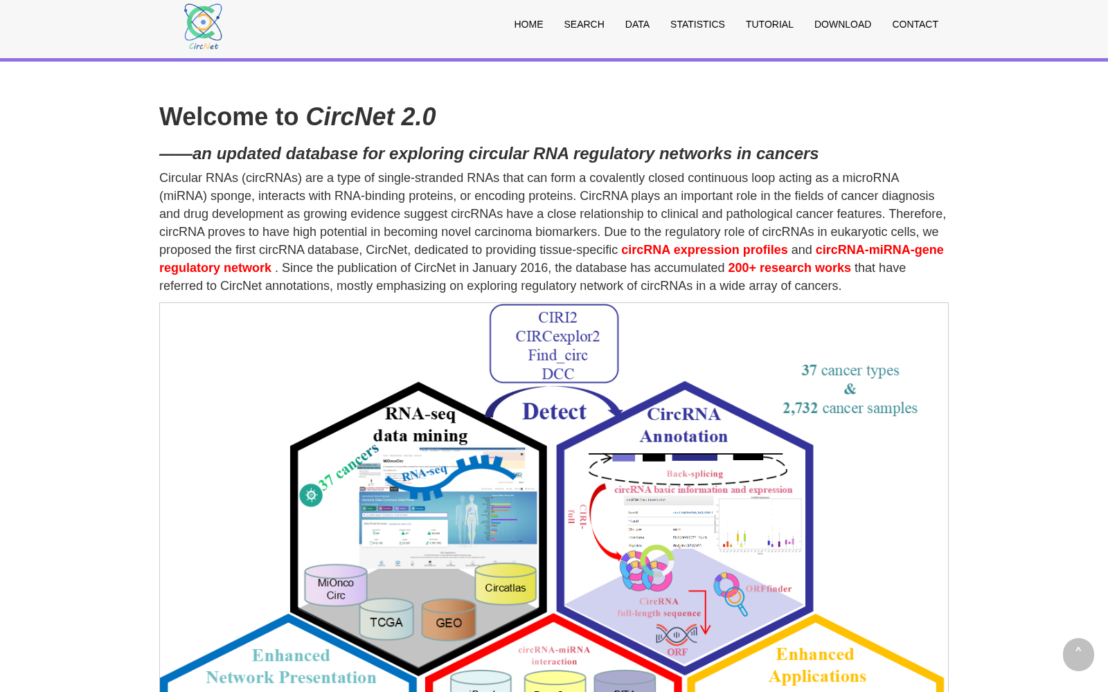 CircNet 数据集图片