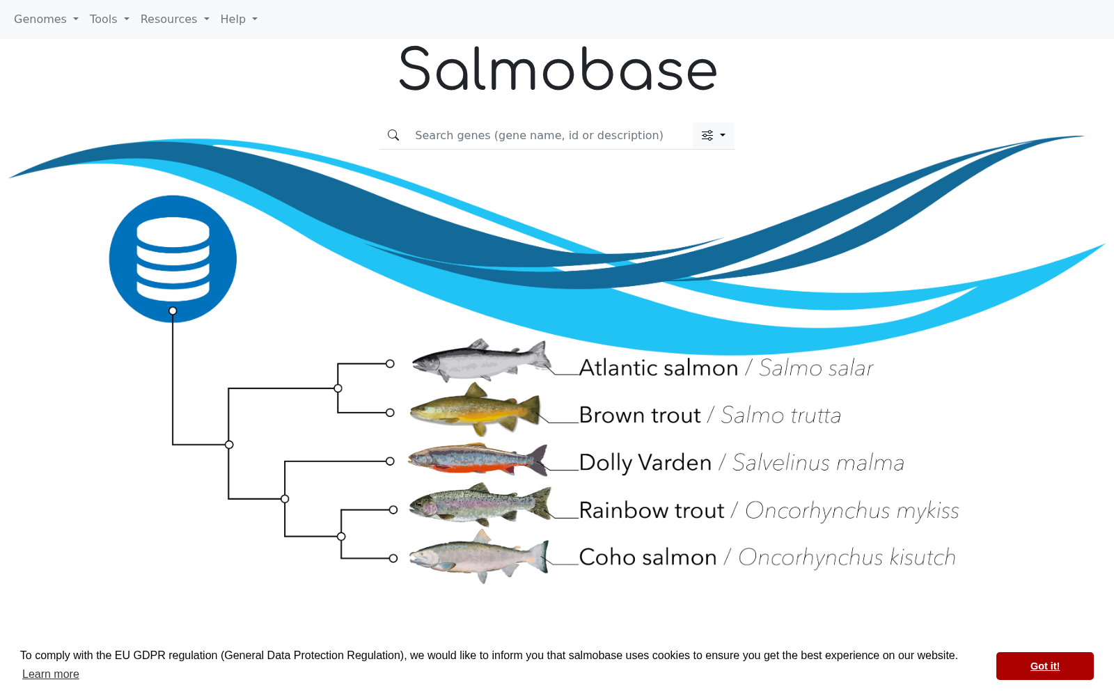 SalmoBase 数据集图片