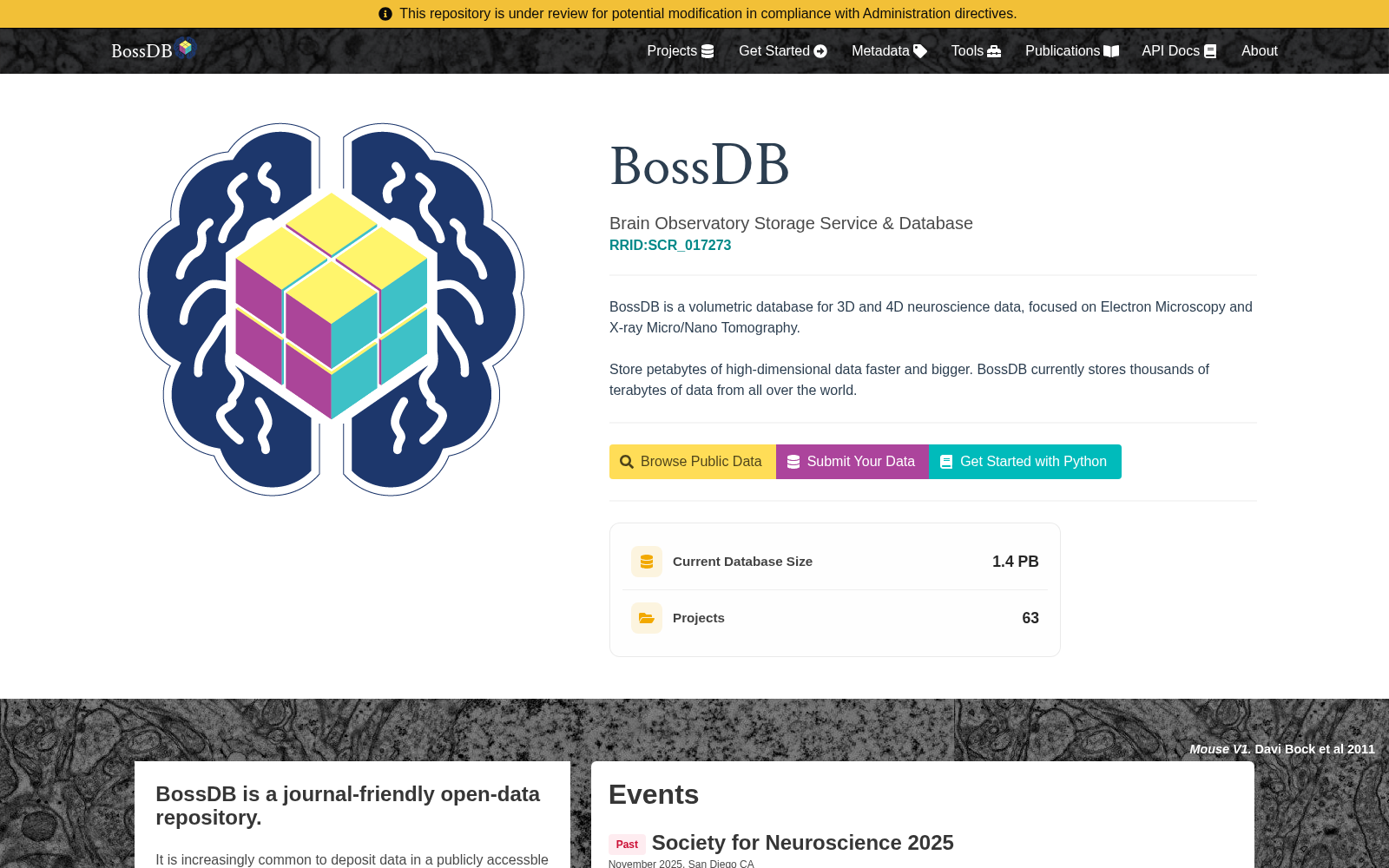 BossDB 数据集图片