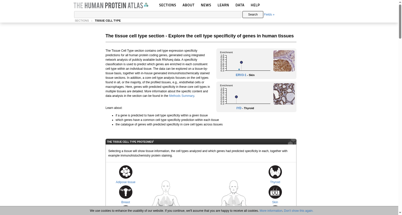 Human Protein Atlas - Tissue cell type 数据集图片