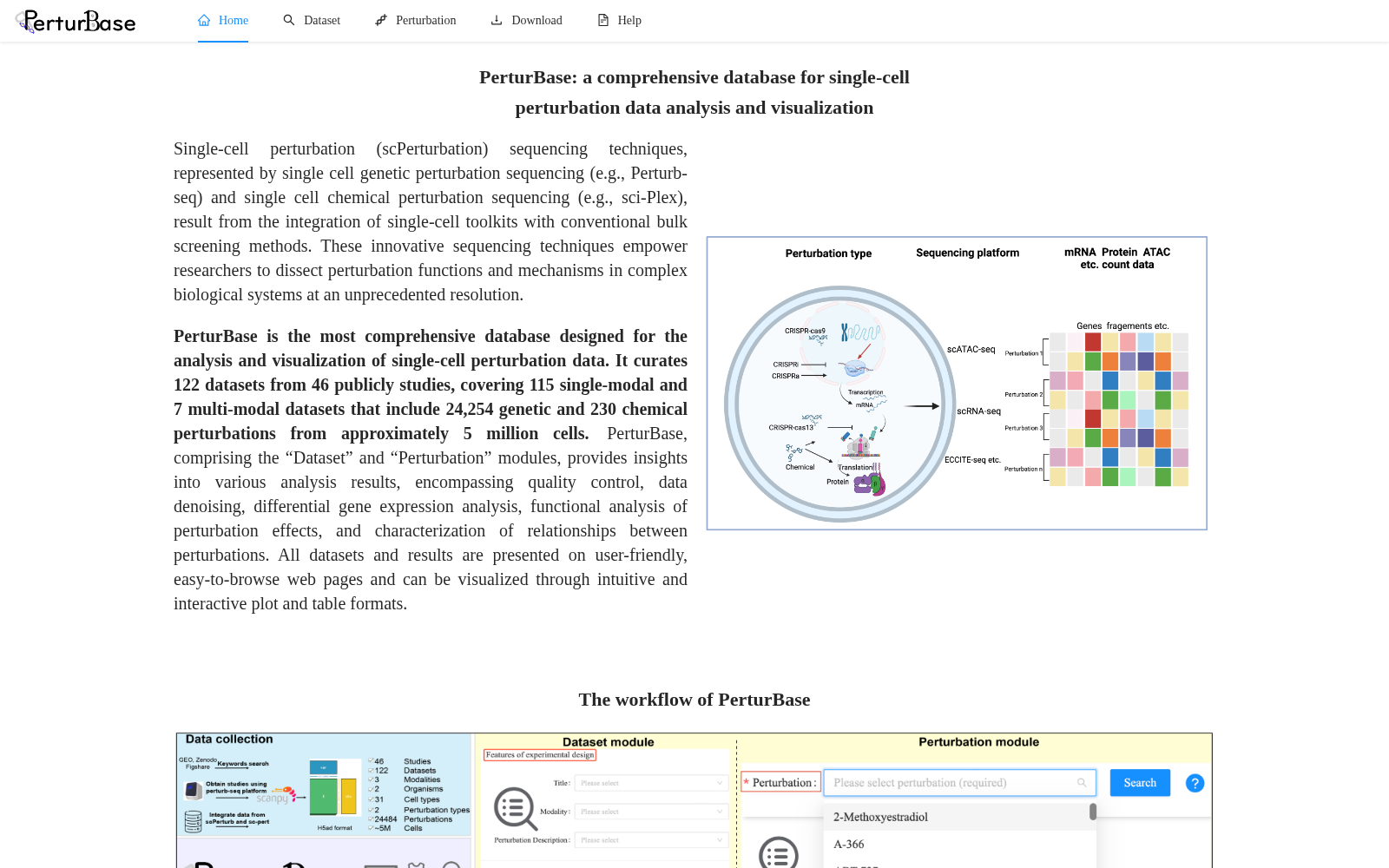 PerturBase 数据集图片