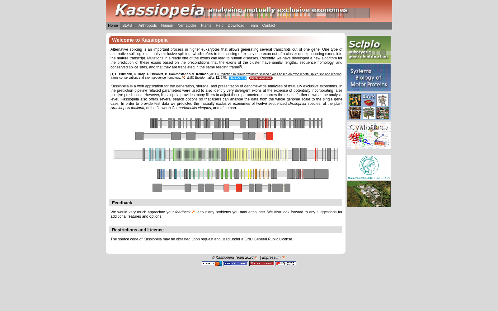 Kassiopeia 数据集图片