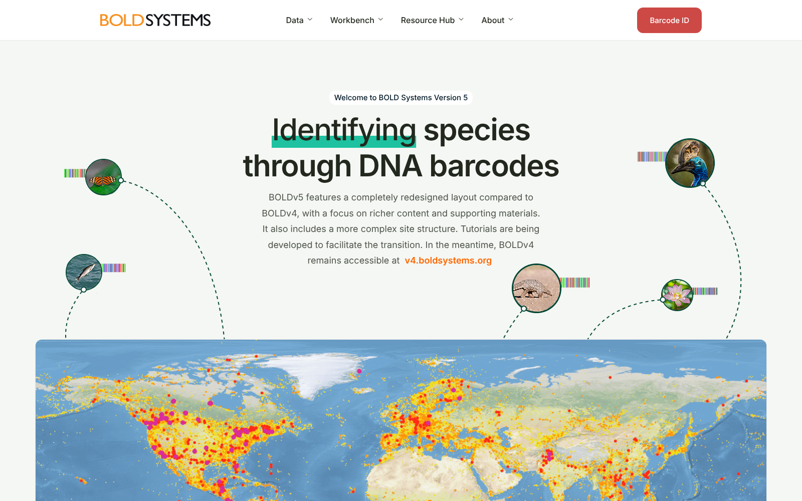 The Barcode of Life Data Systems 数据集图片
